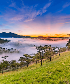 Tour tham quan Phan Thiết - Đà Lạt 3 ngày 2 đêm