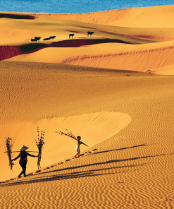 Tour tham quan Mũi Né - Phan Thiết 2 ngày 1 đêm