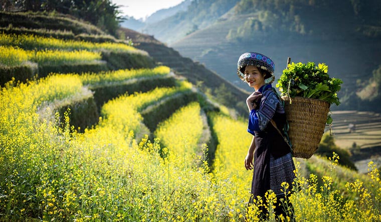 Tất tần tật kinh nghiệm đi du lịch Tây Bắc | MUINE EXPRESS