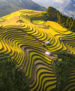 TOUR TÂY BẮC: SAPA - LAI CHÂU - ĐIỆN BIÊN – MỘC CHÂU - MAI CHÂU | 4N3Đ